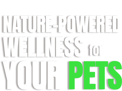 CBD quiz image