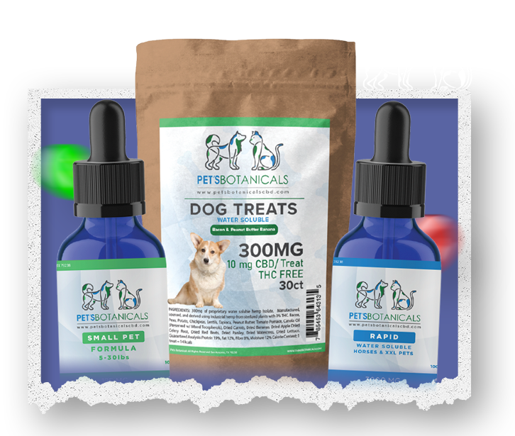 CBD quiz image