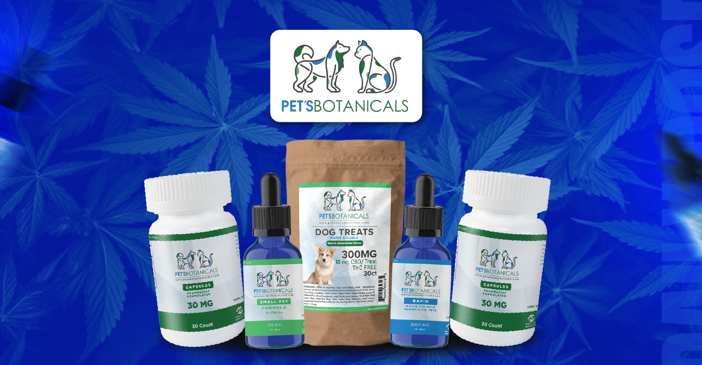 CBD quiz image